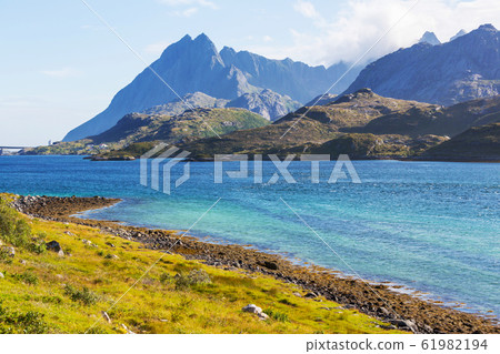 Lofoten 61982194
