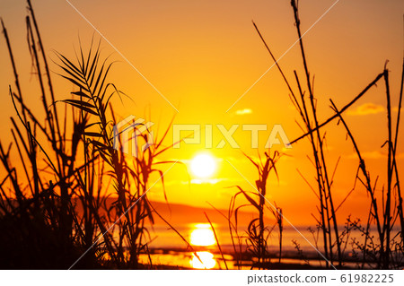 Lake on sunset 61982225