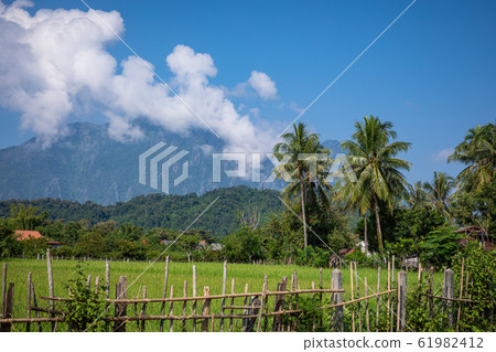 Tropical village Vang Vieng, Laos. Green palms. 61982412