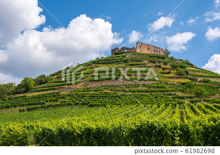 View of the ruins of the castle in Staufen im 61982698