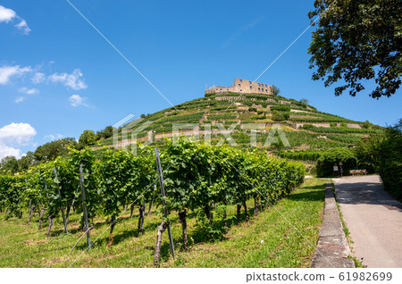 View of the ruins of the castle in Staufen im 61982699