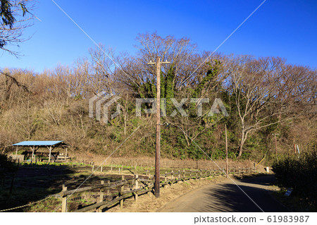 Maioka (Winter) 61983987