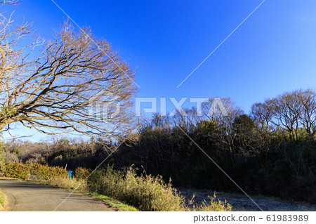 Maioka (Winter) 61983989