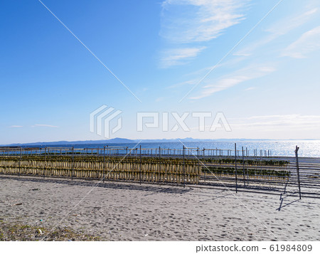 三浦海灘/築海海灘（冬季） 61984809