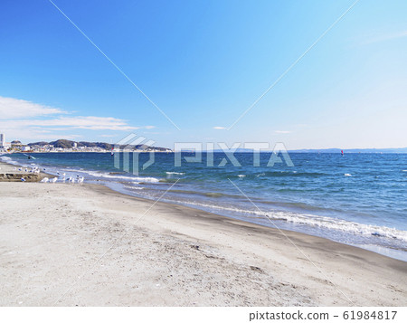 Miura Beach / Tsukui Beach (Winter) 61984817