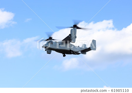 Osprey (Akino, December) Osprey (Akino, December) 61985110