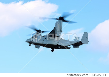 魚鷹(Akino,12月) 魚鷹(Akino,12月) 61985111