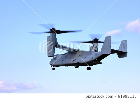 魚鷹(Akino,12月) 魚鷹(Akino,12月) 61985113