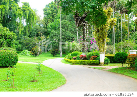 Summer garden with beautiful lawns Summer garden with beautiful lawns 61985154