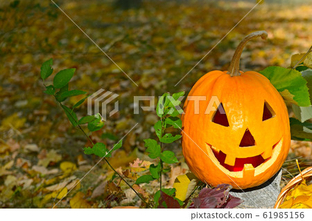 Pumpkin-head against a background of autumn Pumpkin-head against a background of autumn 61985156