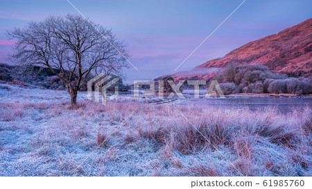 Frost morning at Loch Awe 61985760