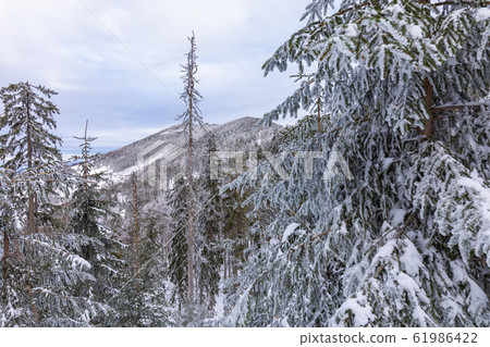 Beskid Zywiecki. Winter in Poland. Beskid Zywiecki. Winter in Poland. 61986422