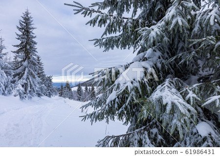Beskid Zywiecki. Winter in Poland. Beskid Zywiecki. Winter in Poland. 61986431