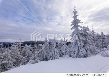 Beskid Zywiecki. Winter in Poland. Beskid Zywiecki. Winter in Poland. 61986446