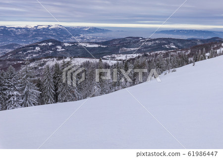 Beskid Zywiecki. Winter in Poland. 61986447