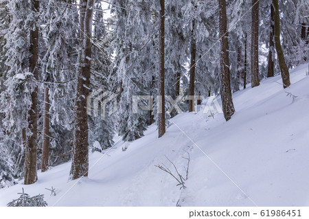 Beskid Zywiecki. Winter in Poland. 61986451