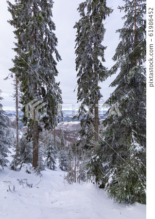 Beskid Zywiecki. Winter in Poland. Beskid Zywiecki. Winter in Poland. 61986452