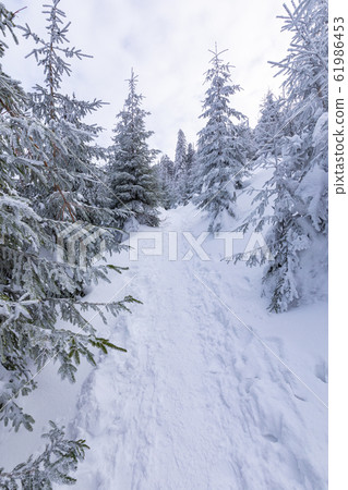Beskid Zywiecki. Winter in Poland. 61986453