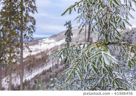Beskid Zywiecki. Winter in Poland. Beskid Zywiecki. Winter in Poland. 61986456