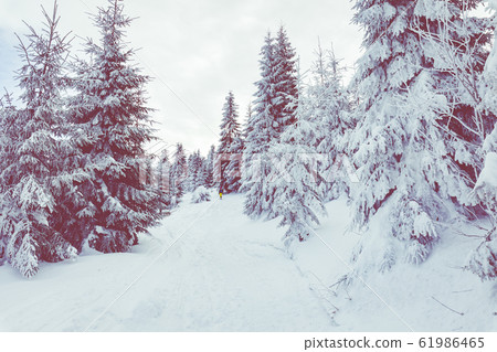 Beskid Zywiecki. Winter in Poland. Beskid Zywiecki. Winter in Poland. 61986465