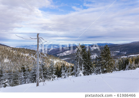 Beskid Zywiecki. Winter in Poland. 61986466