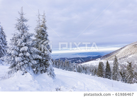 Beskid Zywiecki. Winter in Poland. Beskid Zywiecki. Winter in Poland. 61986467