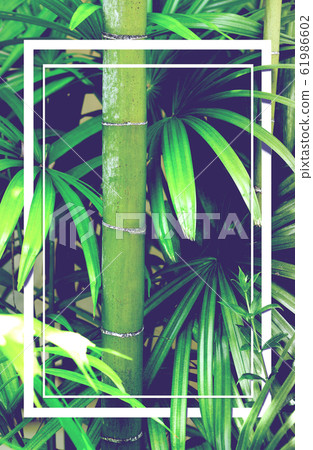 Leaves and vegetation artwork and layout. Leaves and vegetation artwork and layout. 61986602