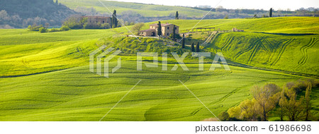 Picturesque Tuscany landscape 61986698