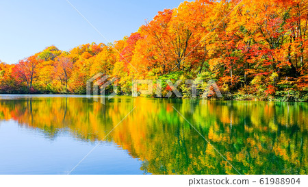 Autumn leaves of Kamike Autumn leaves of Kamike 61988904