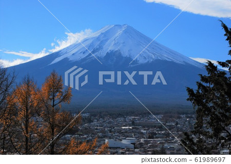 Forest and Mount Fuji Forest and Mount Fuji 61989697