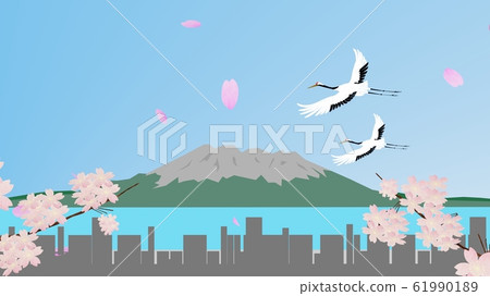 Superb view of cherry blossoms with branches and Sakurajima Superb view of cherry blossoms with branches and Sakurajima 61990189