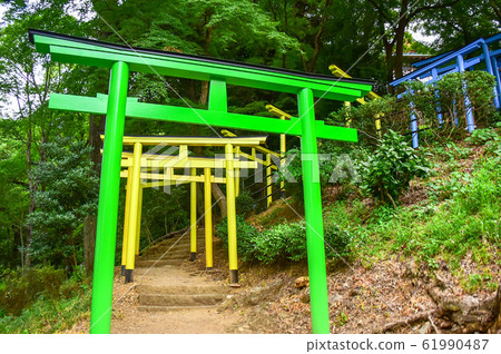 Colorful torii Colorful torii 61990487