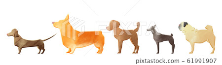 5隻小狗 5隻小狗 61991907