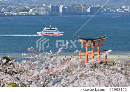 Otorii of Miyajima in spring 61992122