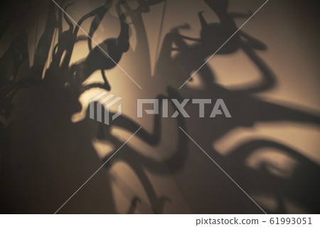 Mysterious shadow shadow silhouette 61993051