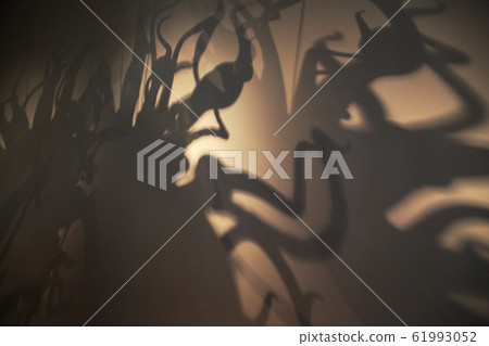 Mysterious shadow shadow silhouette Mysterious shadow shadow silhouette 61993052