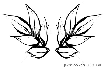 Plant line drawing 61994305