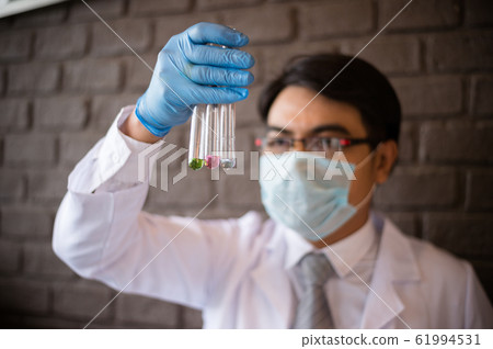 scientist wear white dress and blue gloves holding three glass test tube. Chemist examines chemical test tube, science, doctor scientist wear white dress and blue gloves holding three glass test tube. Chemist examines chemical test tube, science, doctor 61994531