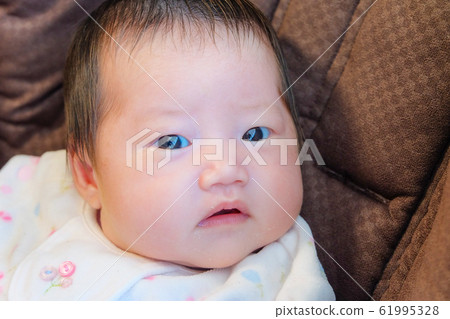 baby baby 61995328