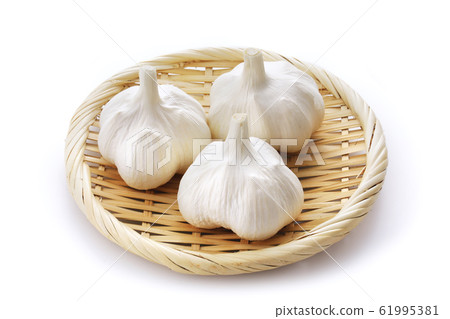 Garlic Garlic 61995381