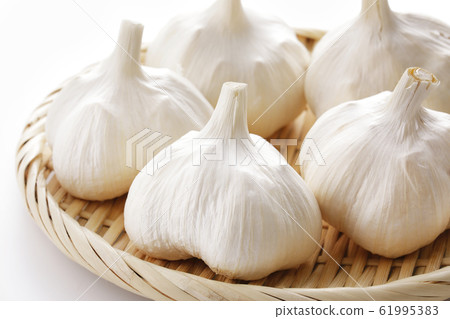 Garlic Garlic 61995383