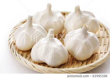 大蒜 61995386