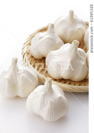 大蒜 61995388