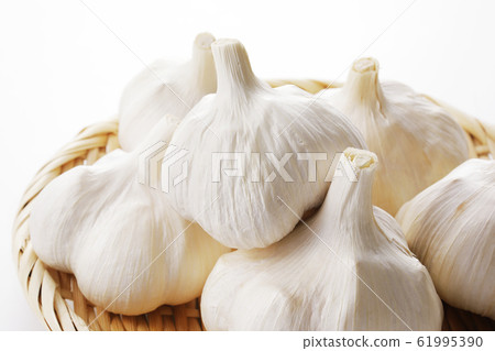 Garlic 61995390
