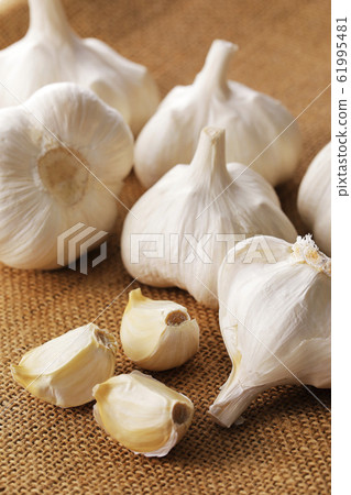 大蒜 大蒜 61995481