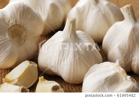 大蒜 61995482