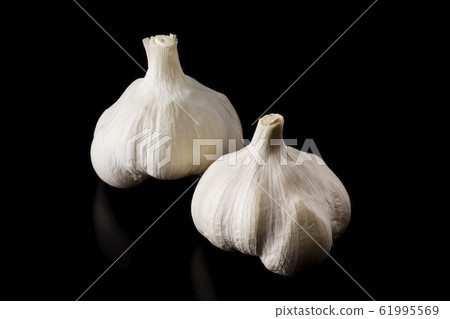 Garlic Garlic 61995569