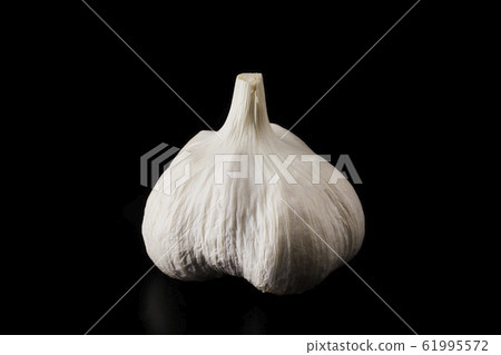 Garlic 61995572
