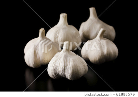 Garlic 61995579