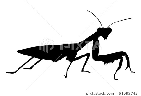 螳螂3包括動物剪影昆蟲 61995742